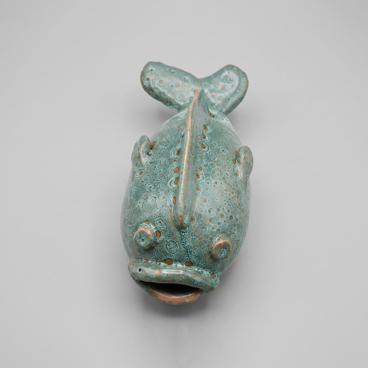 Le Poisson Lagon
