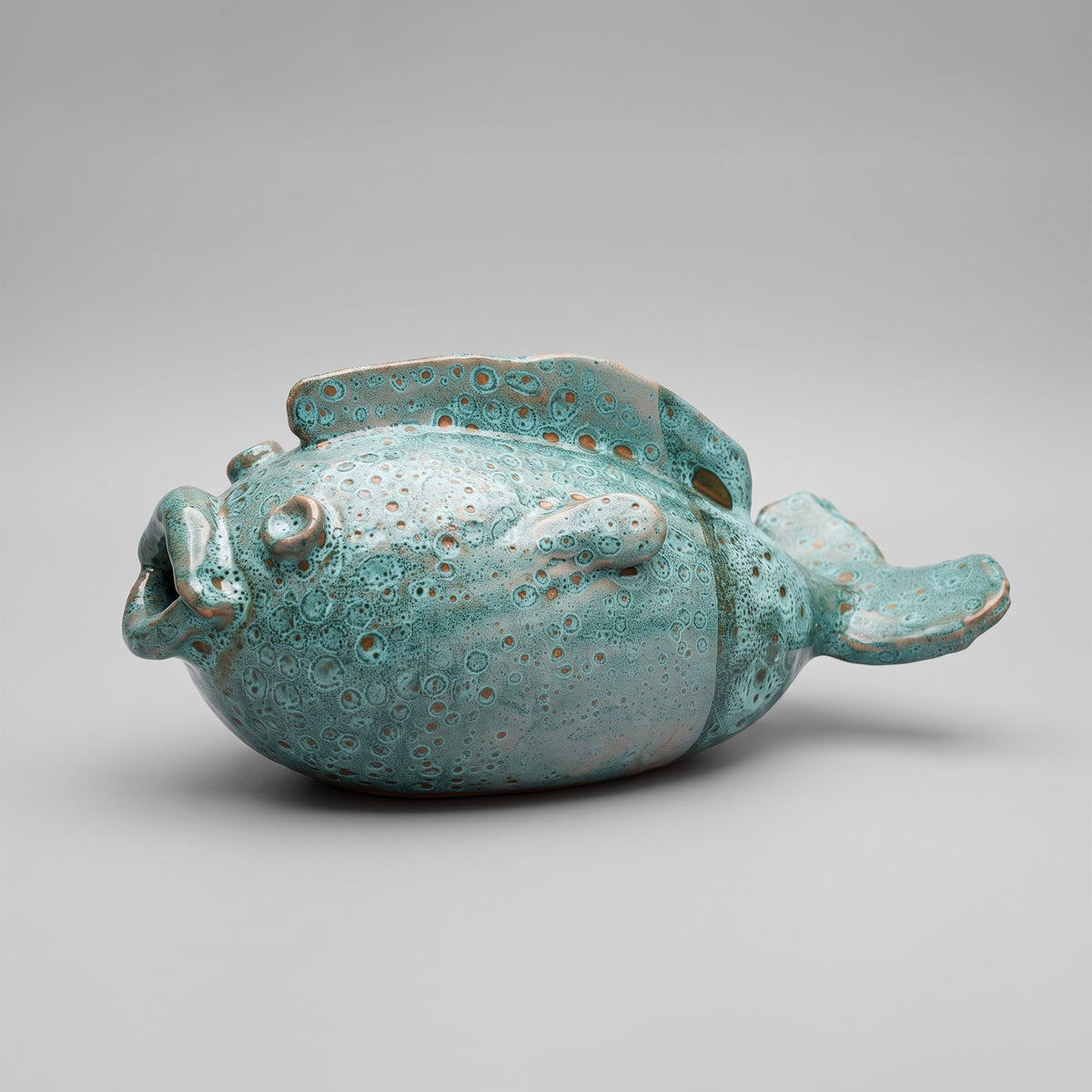 Le Poisson Lagon