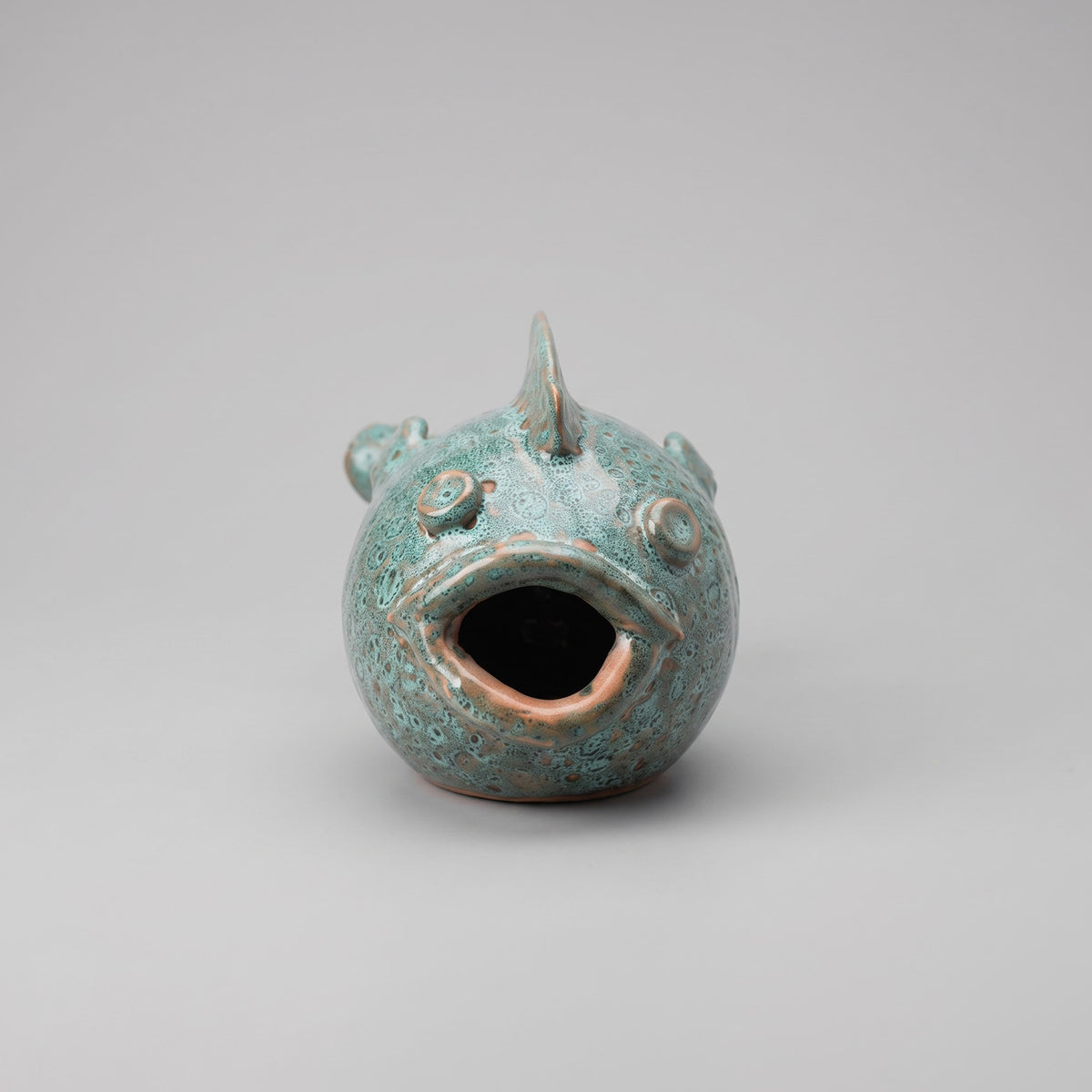 Le Poisson Lagon